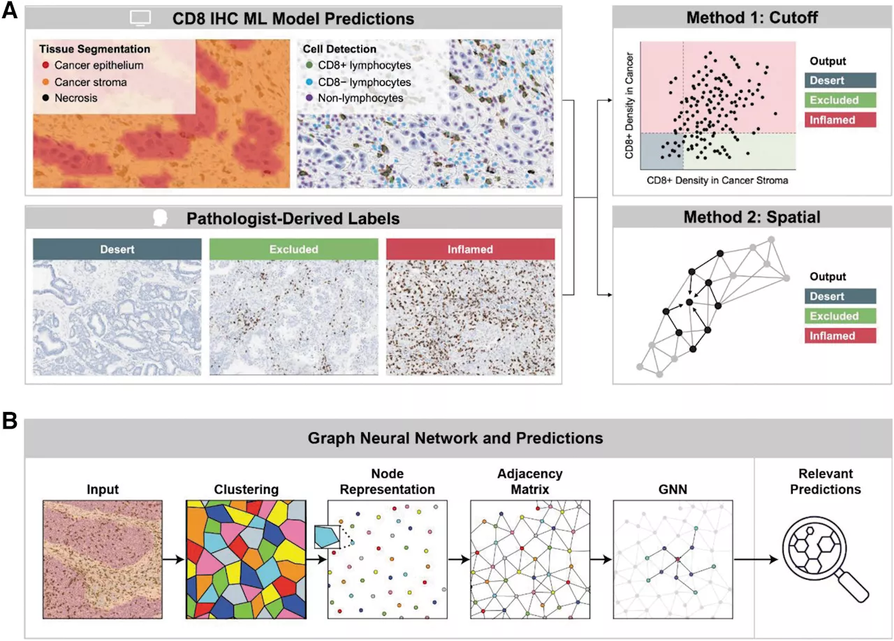 Using machine learning to identify patients with cancer that would benefit from immunotherapy