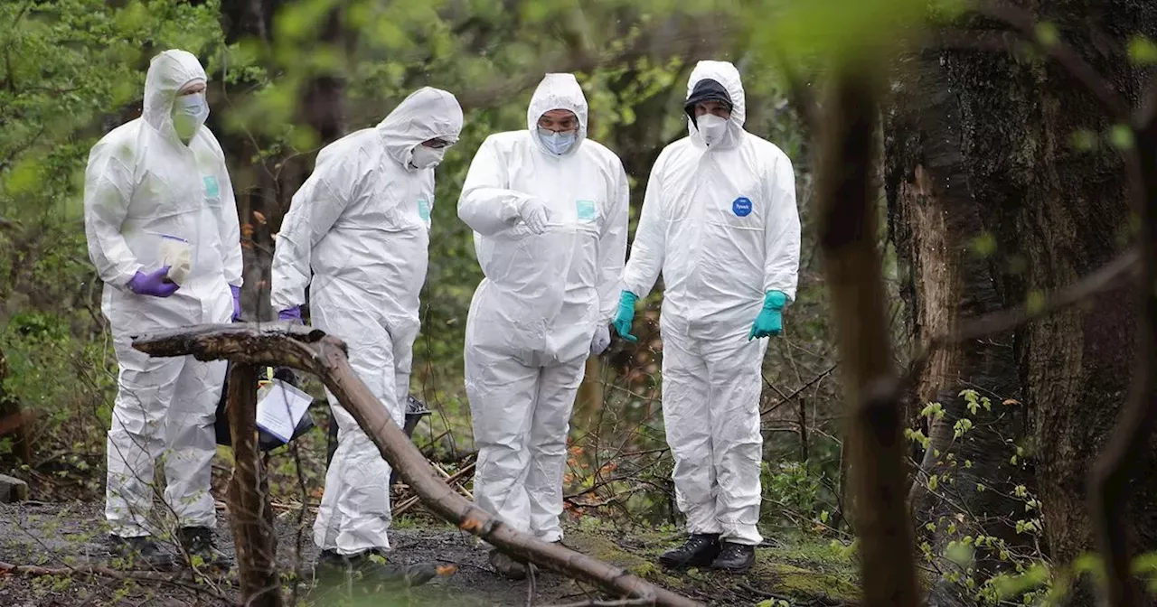 Search for Human Remains in Woodland to be Called Off