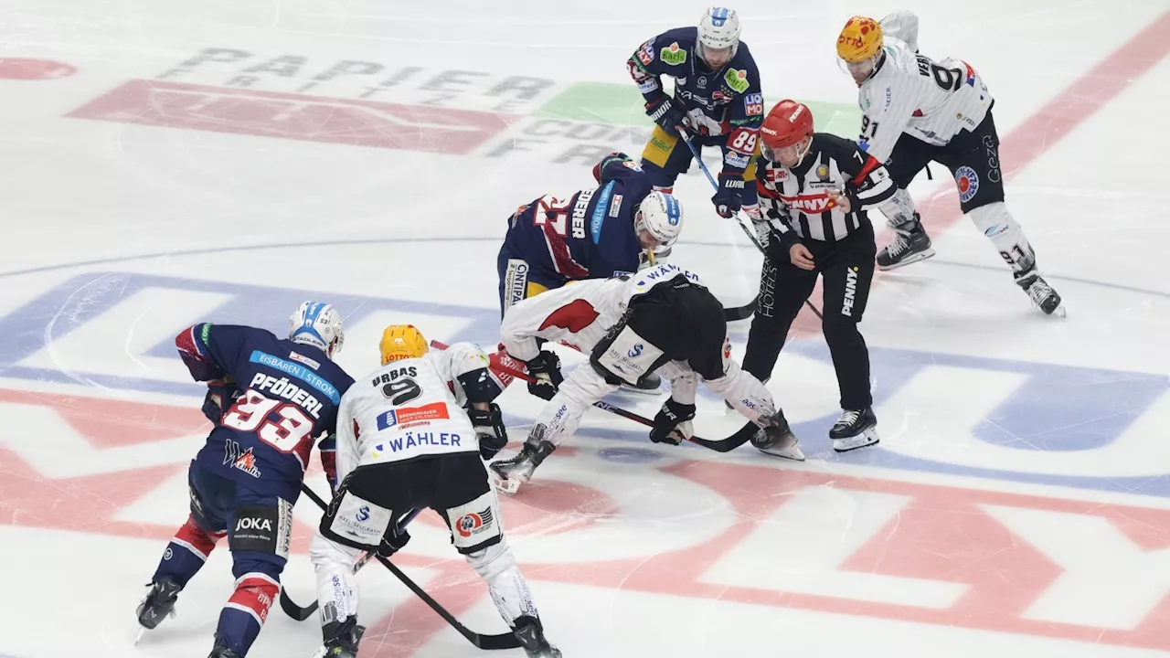 Eisbären Berlin: Schlägt die große Erfahrung die Euphorie?