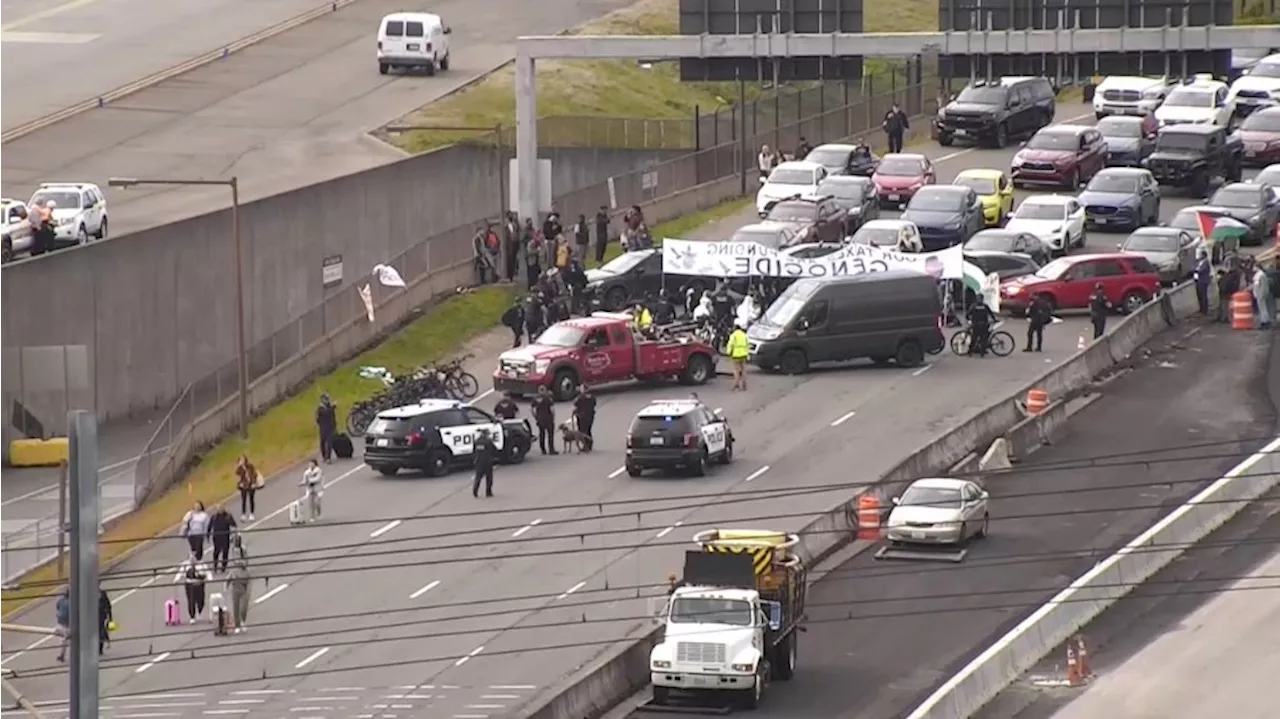 46 arrested after pro-Palestinian protest shut down SEA Airport road for hours