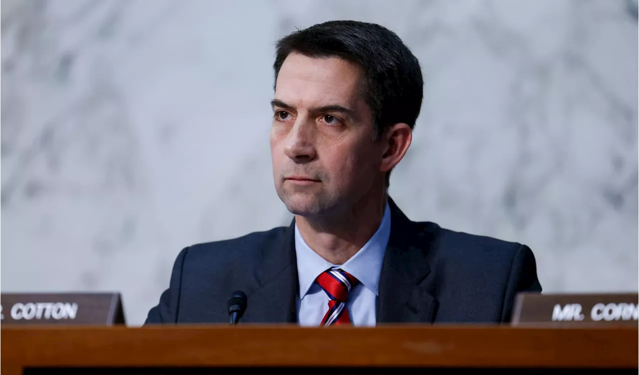 Sen. Tom Cotton encourages drivers to drag Gaza cease-fire protestors from blocked roads