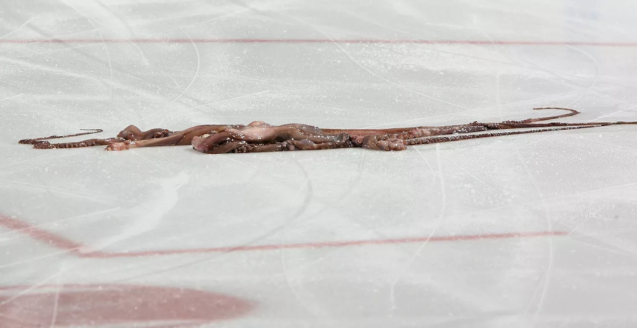 Why do Red Wings fans throw octopuses on the ice?