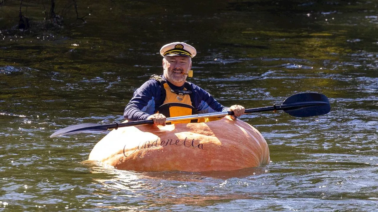 Bloke paddles mate’s pumpkin down river