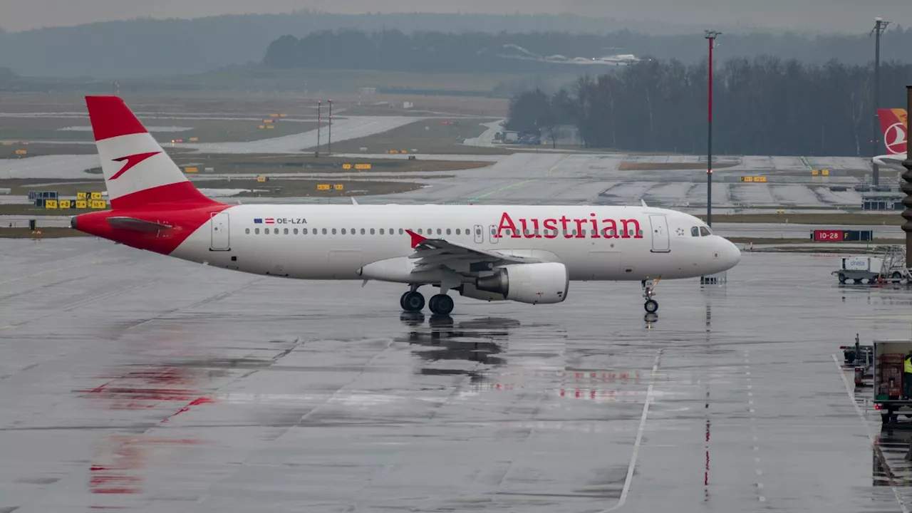 AUA-Flugzeug mit Karas an Bord kehrte wegen Blitzen nach Schwechat um