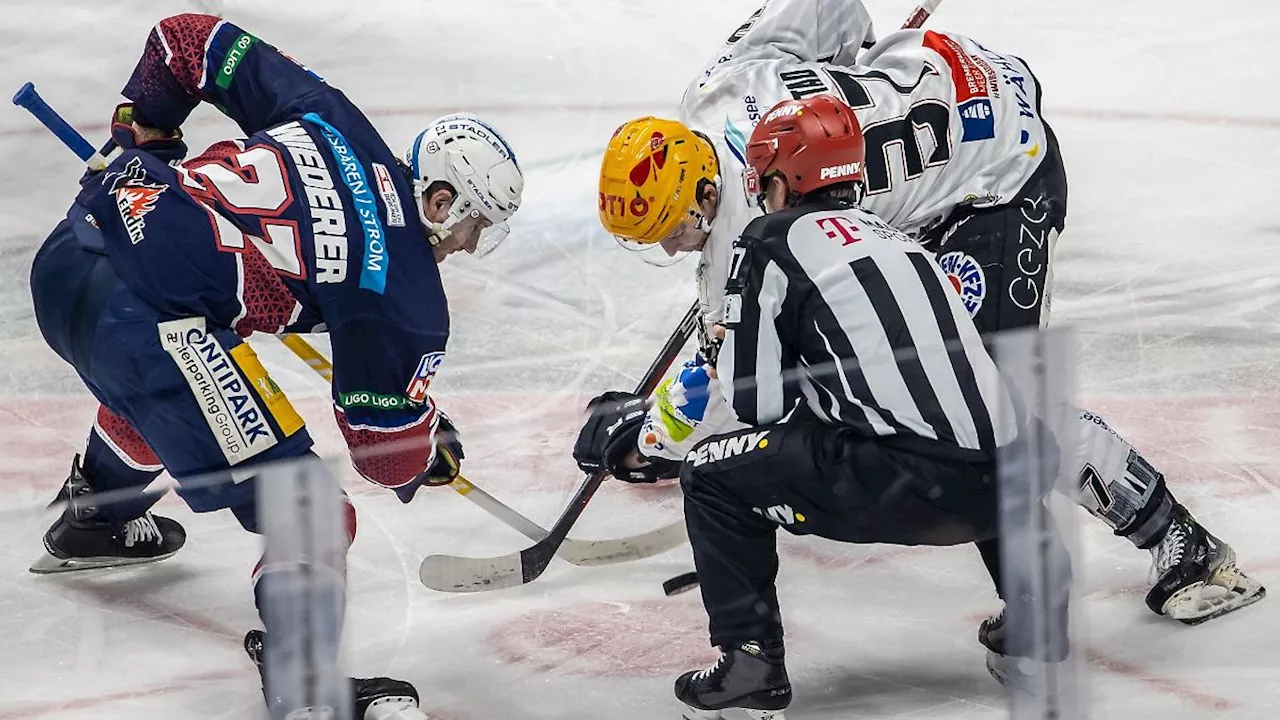 Berlin & Brandenburg: Vor Finale: Eisbären Berlin lehnen Favoritenrolle ab