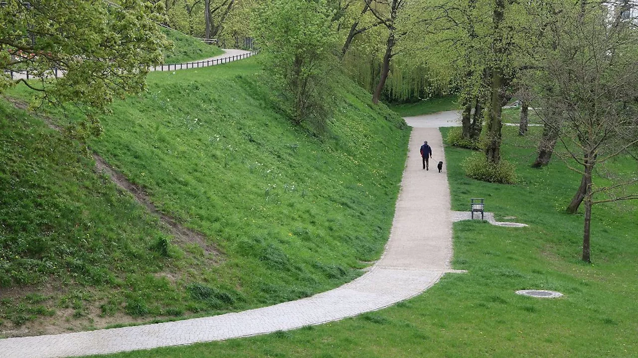 Mecklenburg-Vorpommern: Mädchen zeigt Sexualdelikt in Rostocker Park an