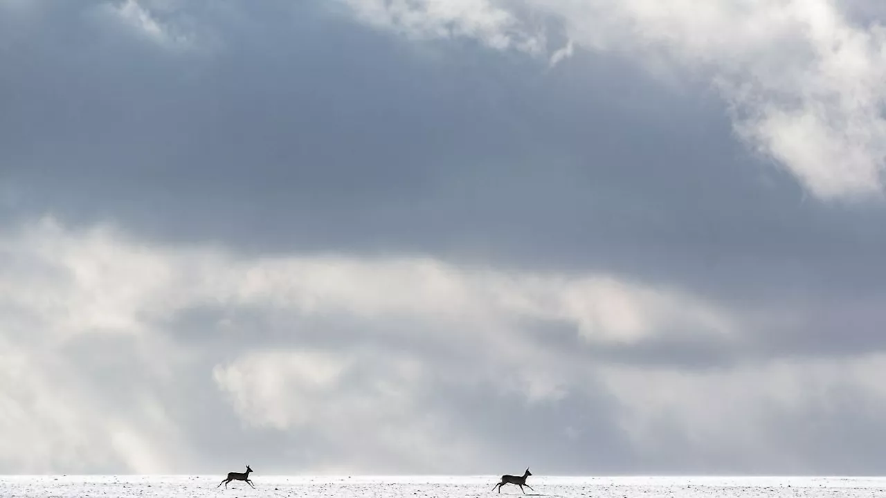 Schnee und Frostgefahr nach Sommerwetter