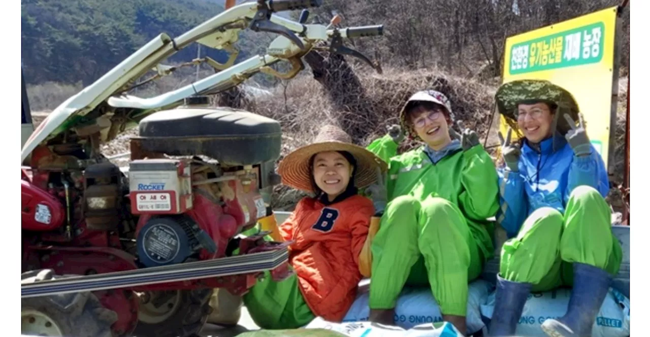 벨기에 심리학자가 한국 드라마를 엄청 많이 본 이유