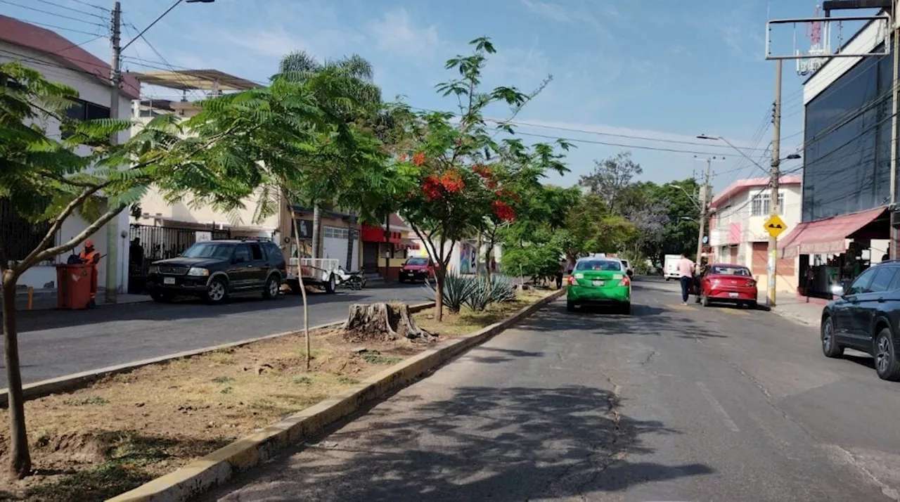 “Aquí cristalean”: así advierten en esta colonia de Irapuato por daños a vehículos