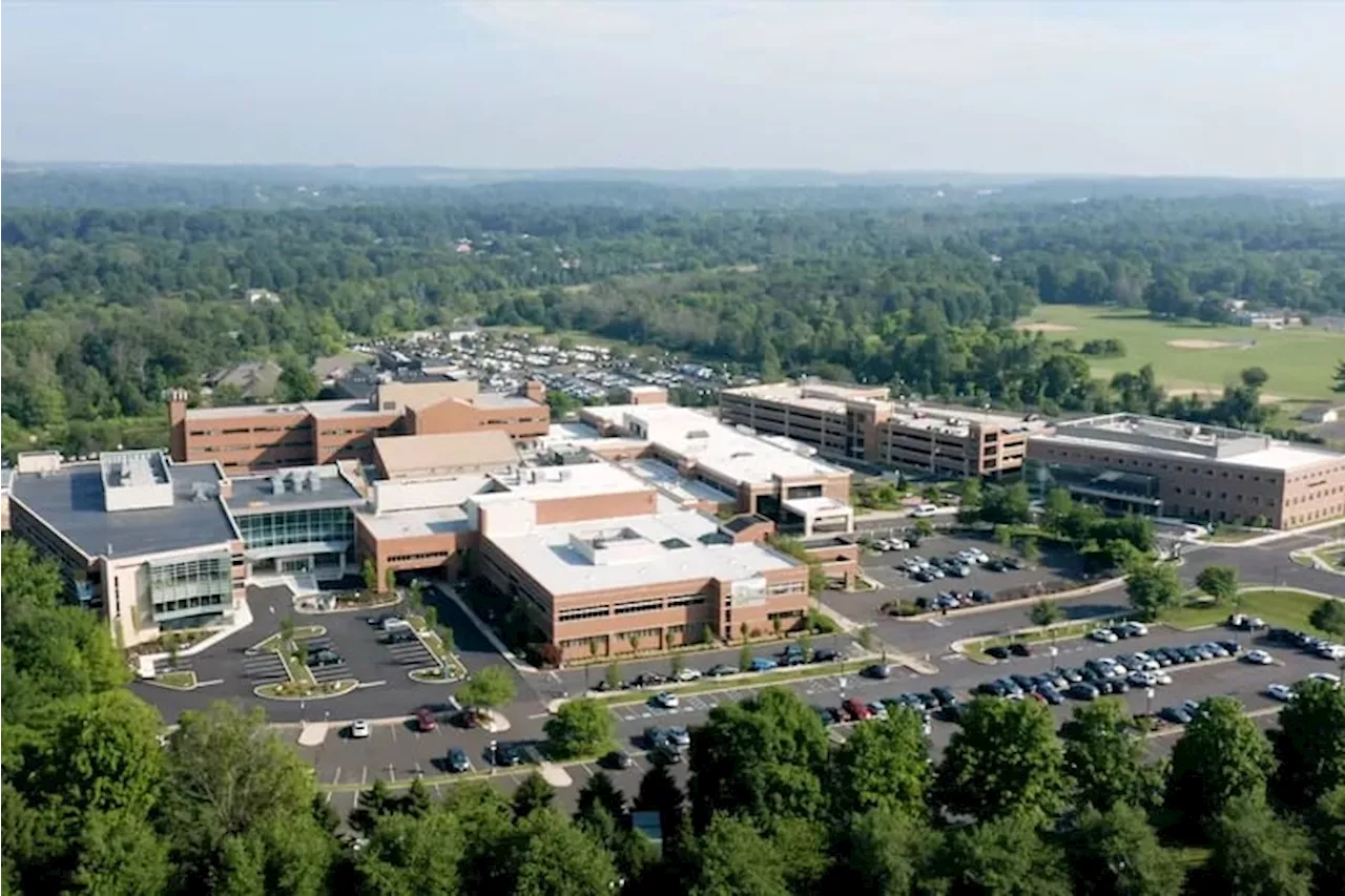 A former Doylestown Hospital official pleaded guilty of embezzling $600K from charity fund