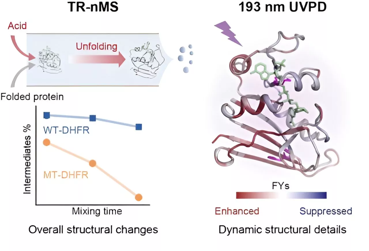 New time-resolved ultraviolet photodissociation mass spectrometry strategy for target protein stability analysis