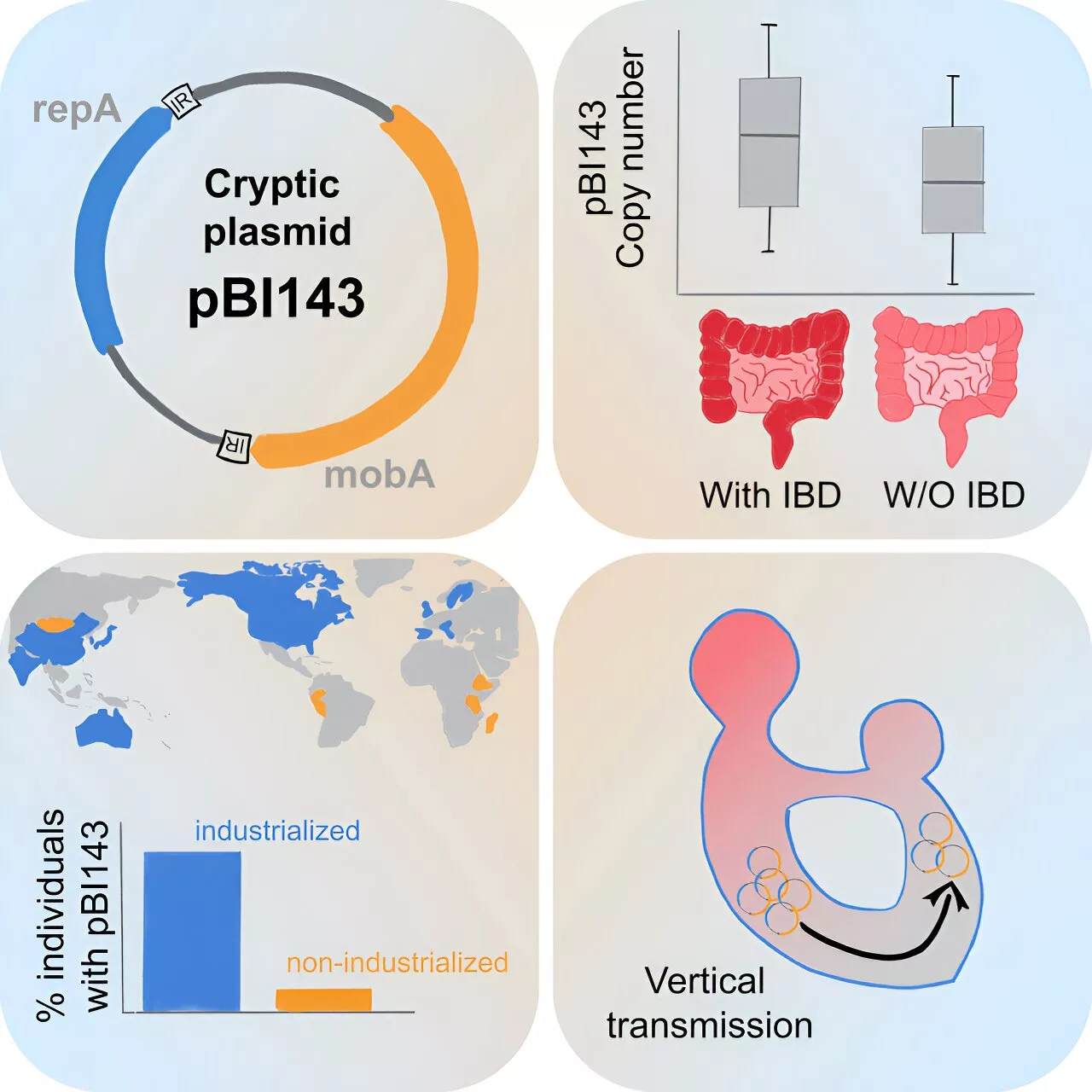 Researchers find cryptic genetic element in the human gut that could serve as a sensitive biomarker