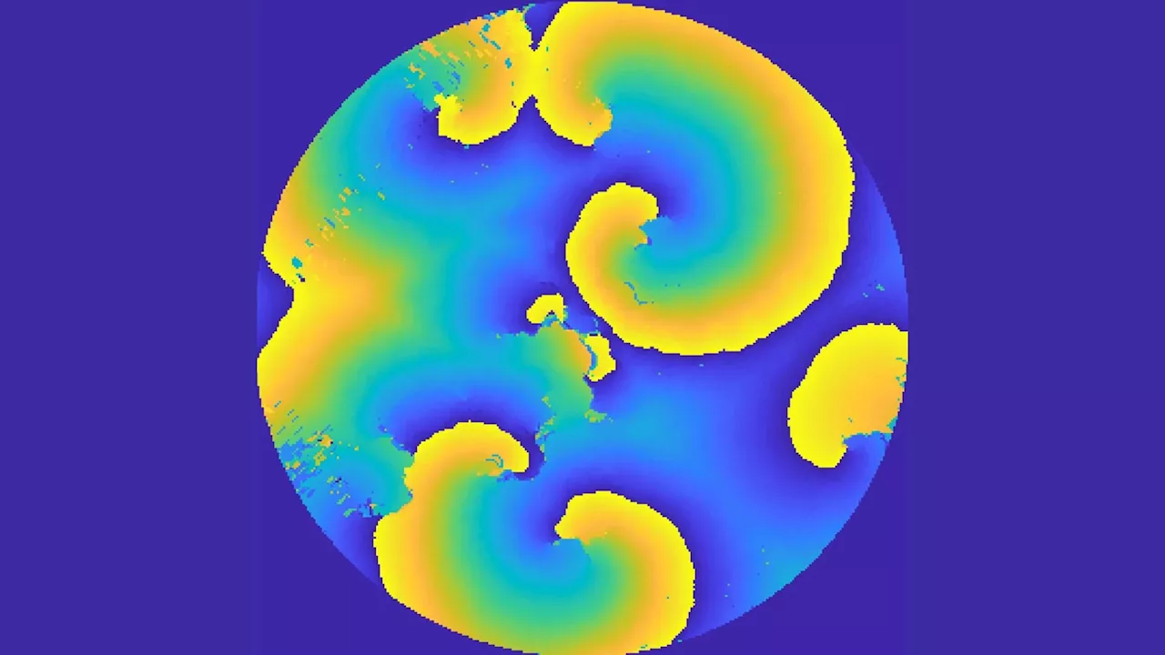 Spiraling insights: Scientists observe mechanical waves in bacterial communities