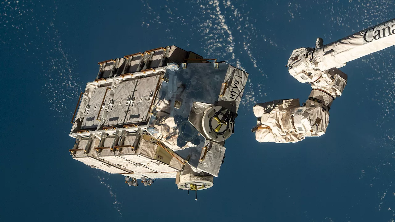 Yes, a chunk of the space station crashed into a house in Florida