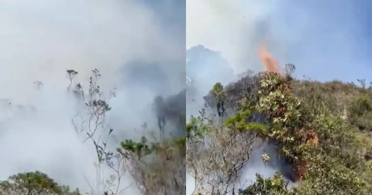 Atención: incendio forestal se presenta en la carrera 15 este con calle 74 sur en Bogotá