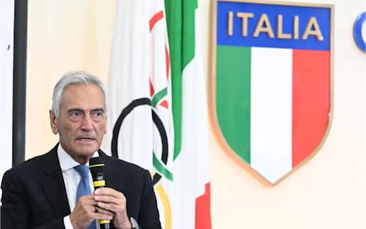 Figc, Gravina al Senato: 'Riconoscere al calcio tax credit su vivai e impianti'