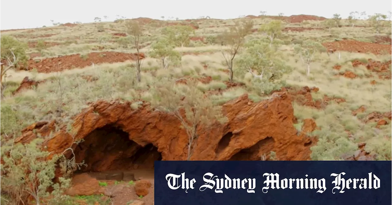 Tasmanian Devil tooth among ‘mind-blowing’ finds in destroyed Juukan Gorge cave