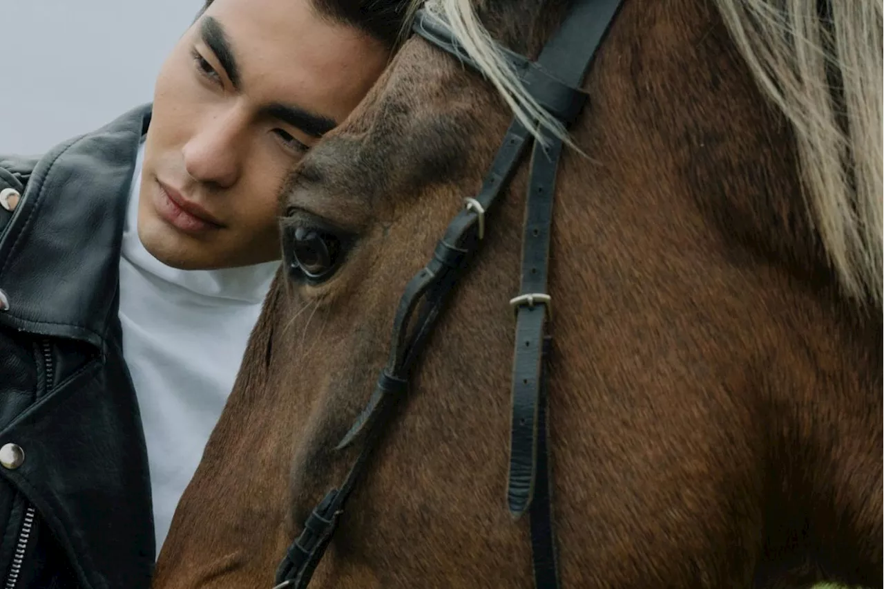 QuickCheck: Do horses and humans share facial expressions?