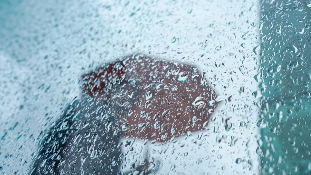 Wetter: Nach Witterungsumschwung deutlich kühler und regnerisch