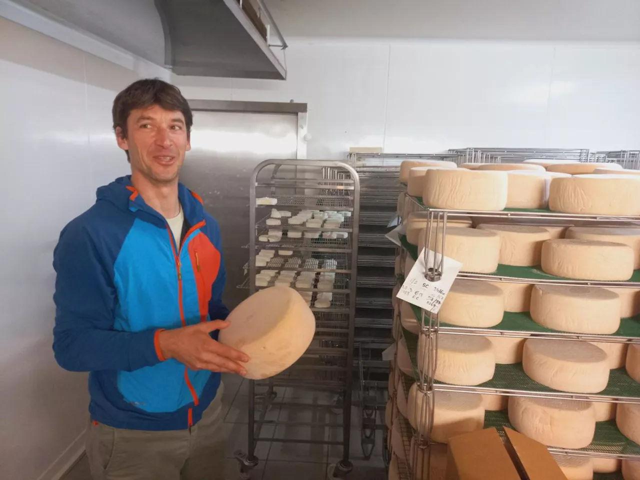 Les meilleurs fromages du Béarn en compétition à la Foire du 1er mai d’Oloron