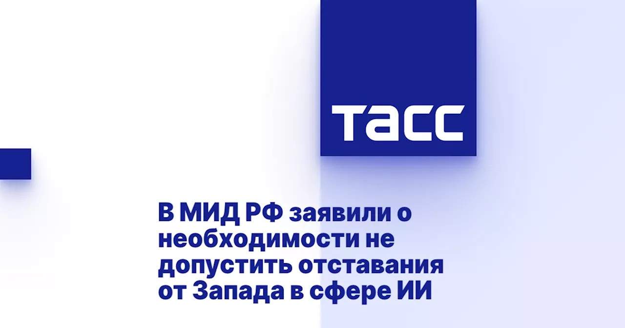 В МИД РФ заявили о необходимости не допустить отставания от Запада в сфере ИИ