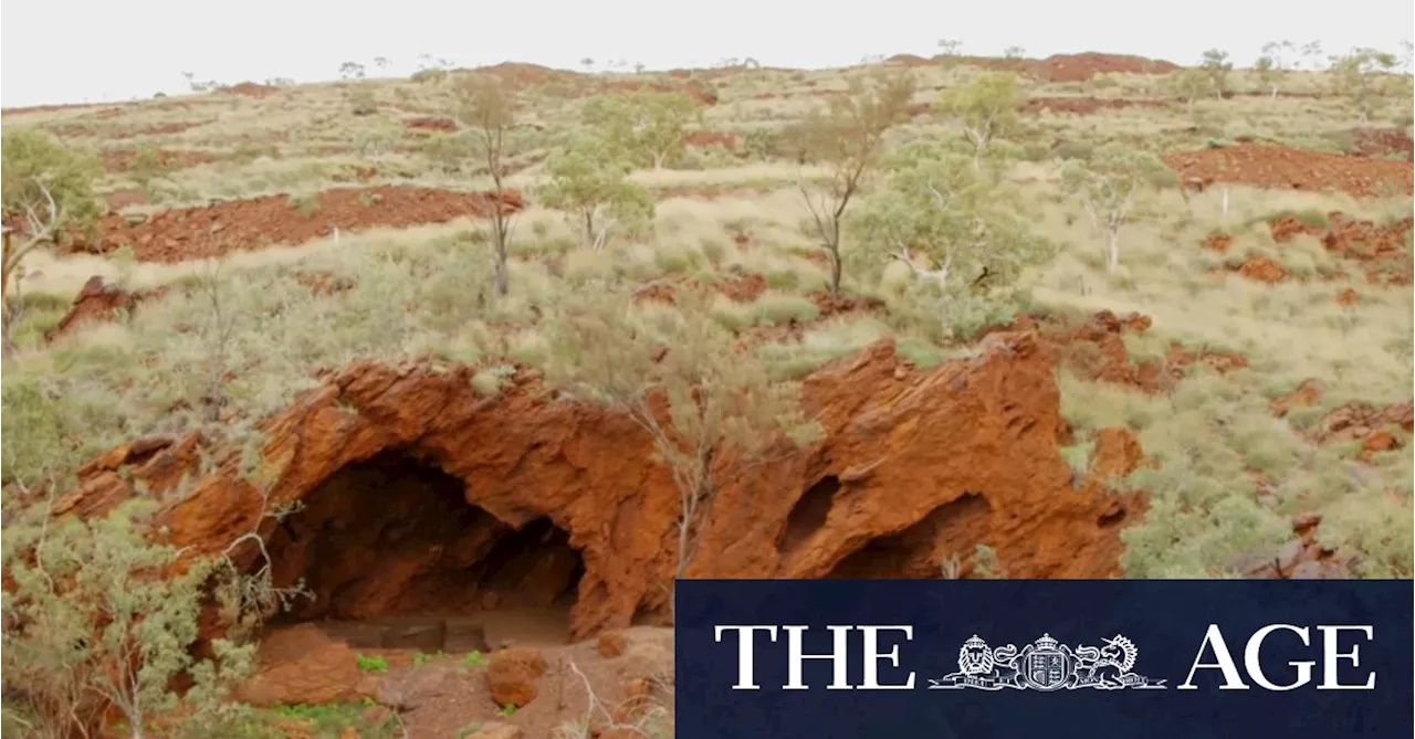 Tasmanian Devil tooth among ‘mind-blowing’ finds in destroyed Juukan Gorge cave