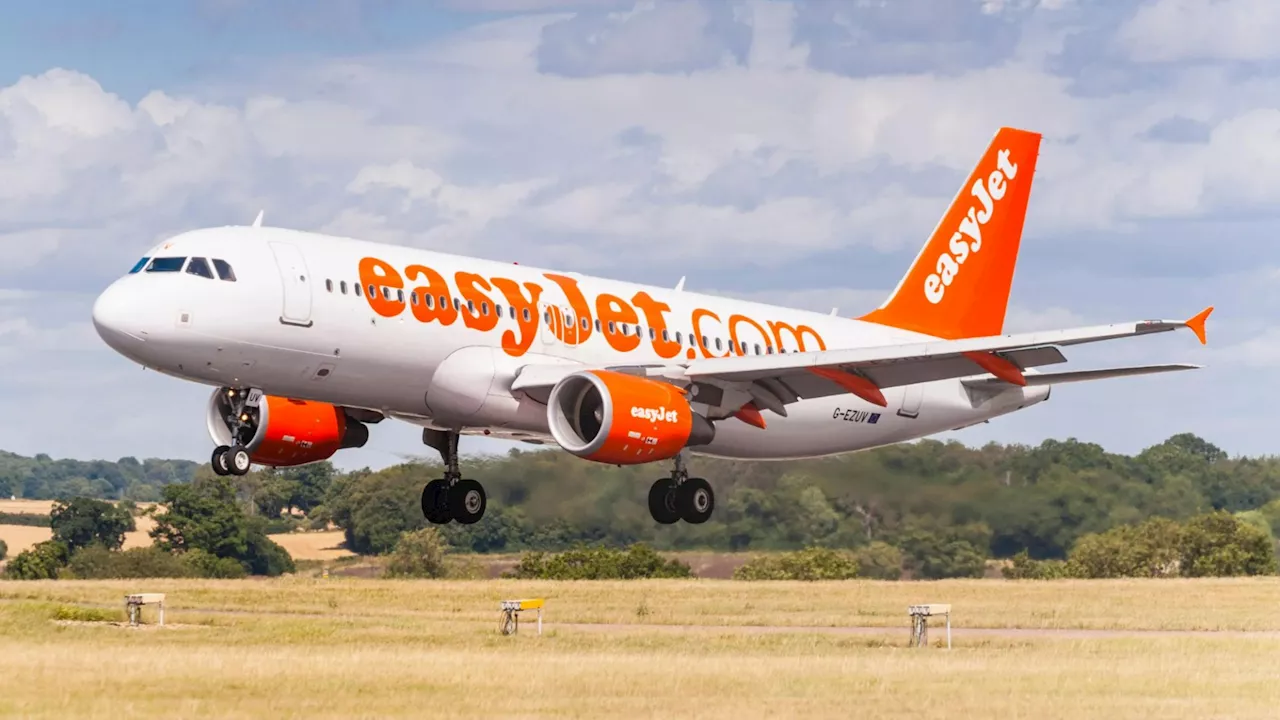 easyJet cancels ALL FLIGHTS to Israel for six months due to ‘ongoing situation’ in Middle East amid fears o...