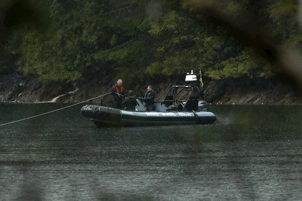 Planning next bid to rescue B.C. orca calf will take 'few days': Fisheries Department