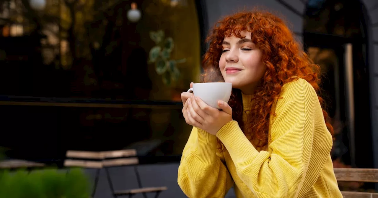 Ese café que se toma en las mañanas se remonta a 600.000 años, según un estudio