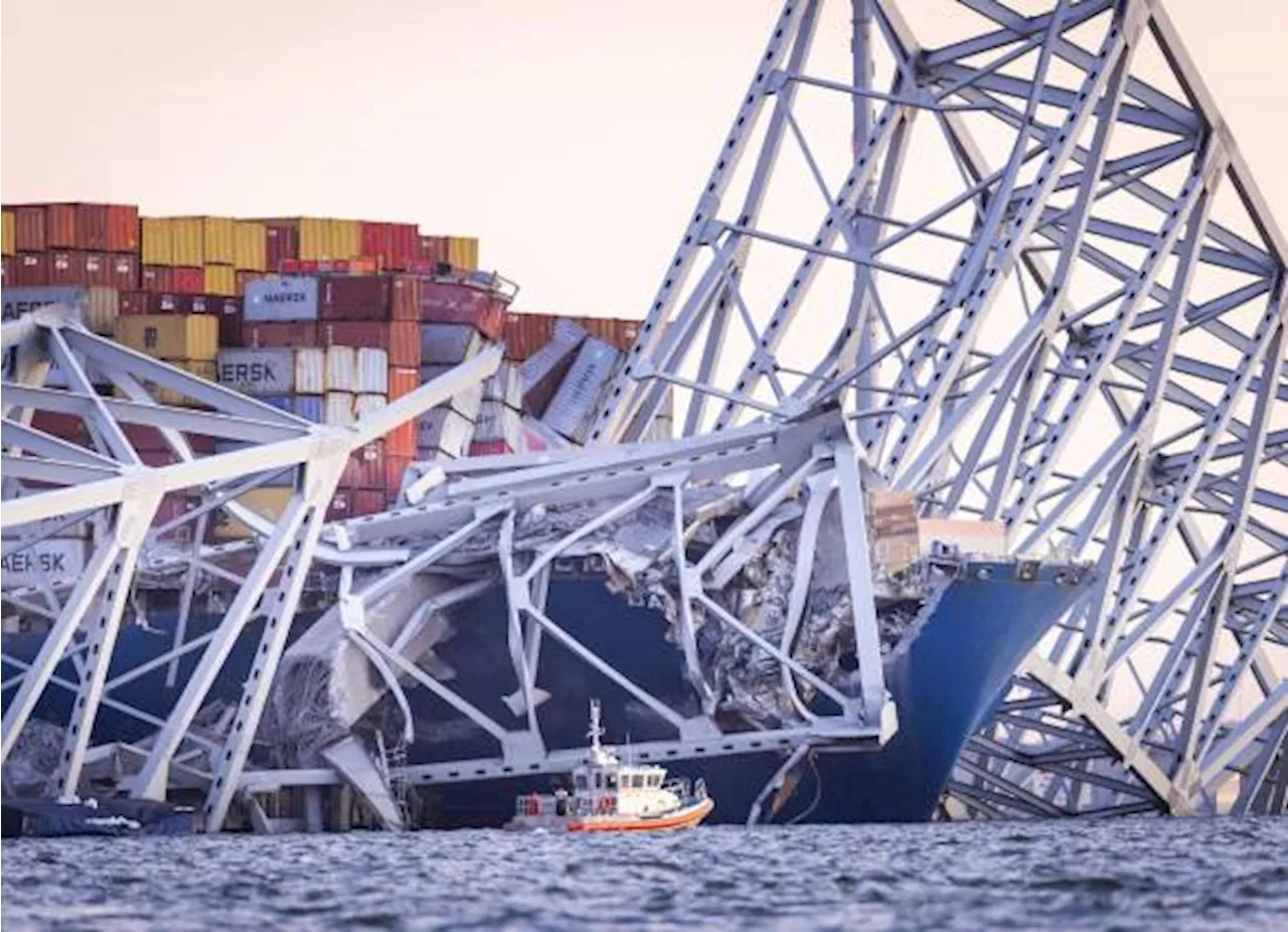 Hallan un nuevo cuerpo por derrumbe del puente de Baltimore; es un mexicano