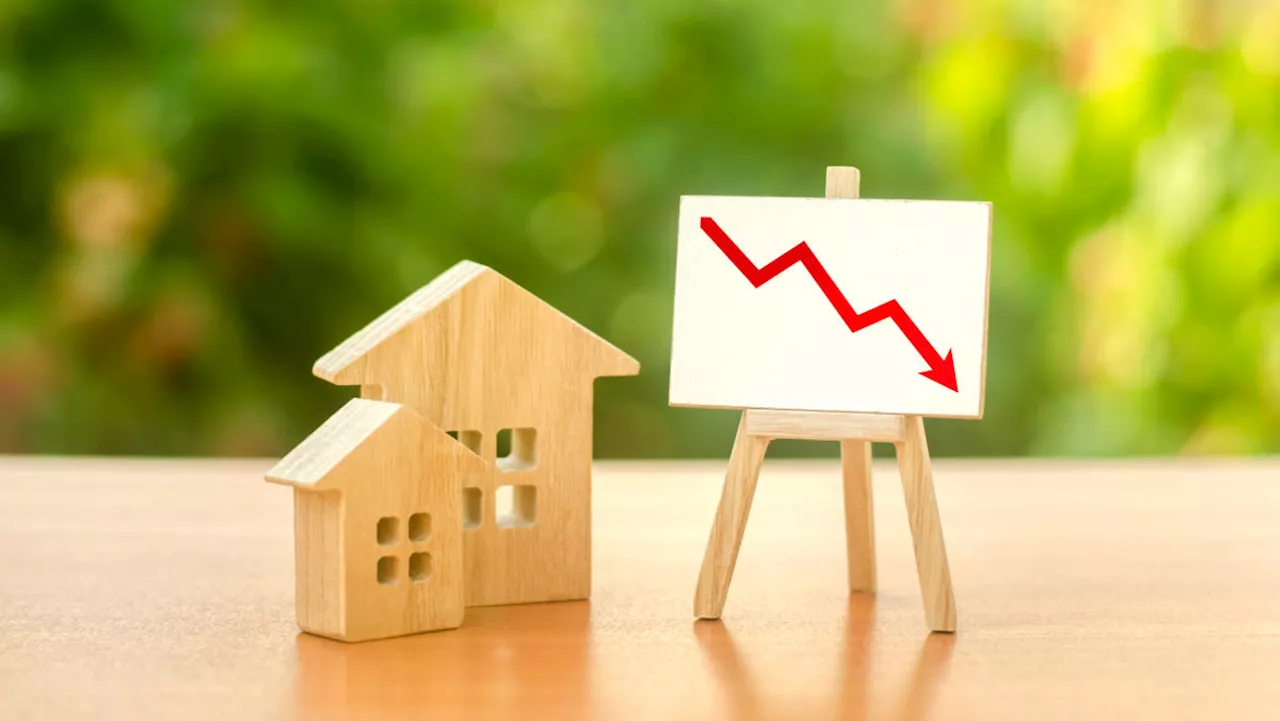 Homebuyers are 'drunk' on rate cut hopes: Broker