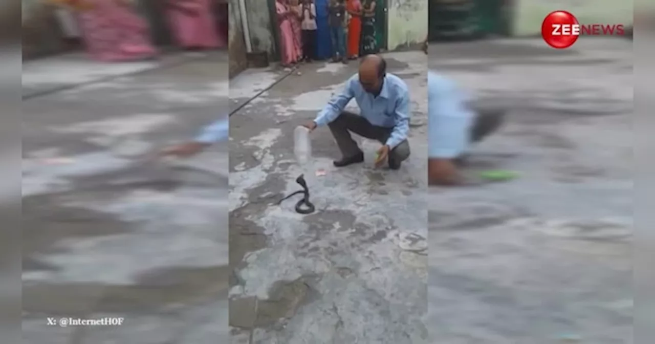 Snake Video: काले नाग को अंकल ने देसी जुगाड़ से पकड़ा, 15 मिलियन लोगों ने देखा वायरल वीडियो