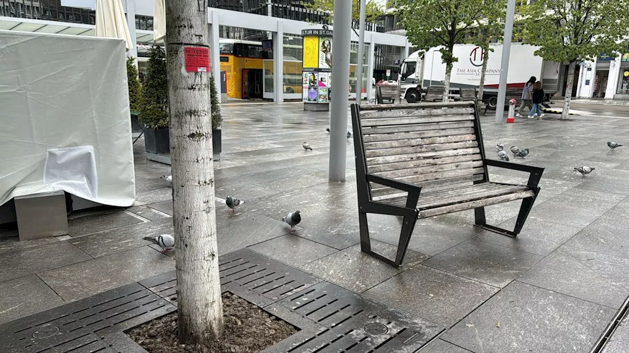 St. Gallen: Polizei handelt wegen Ratten beim Kornhausplatz