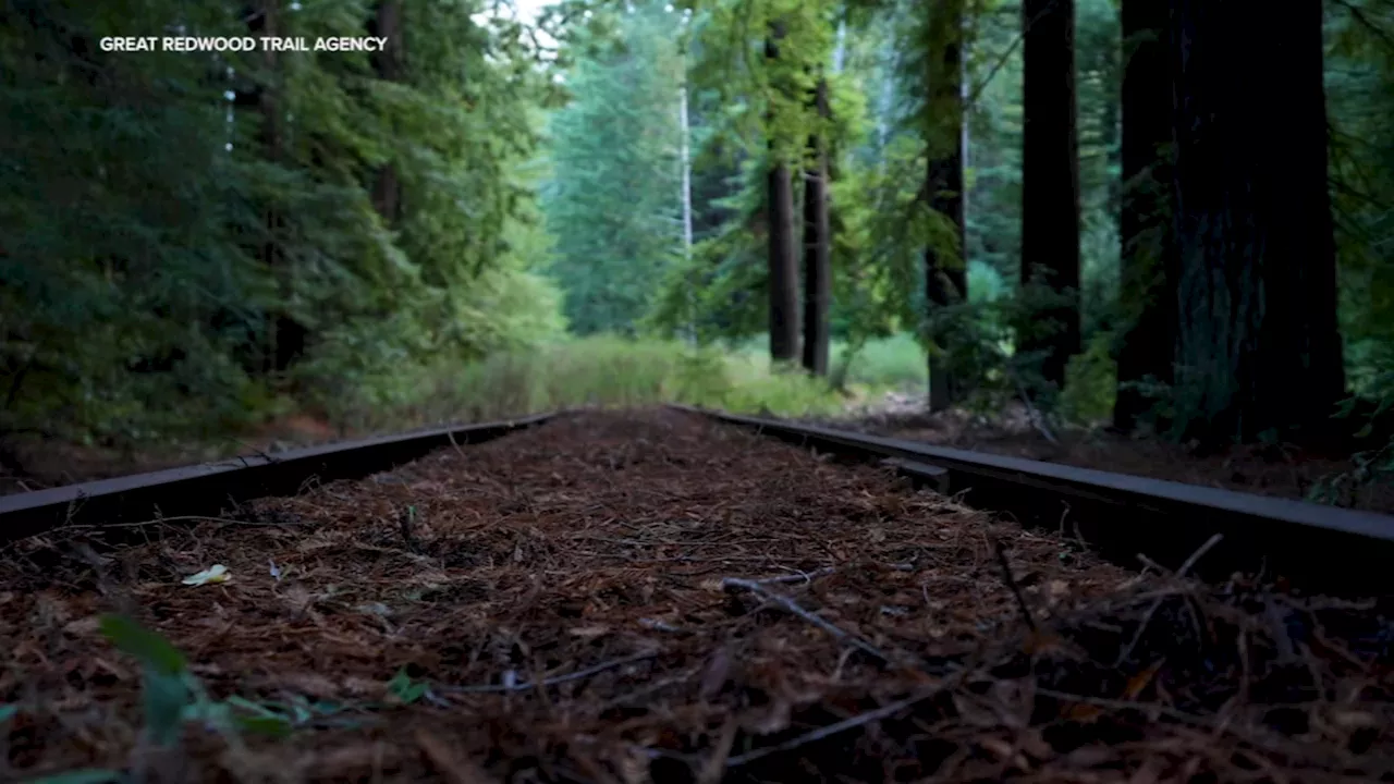 Here's a look into plan for a 300-mile trail from San Francisco Bay to Humboldt Bay