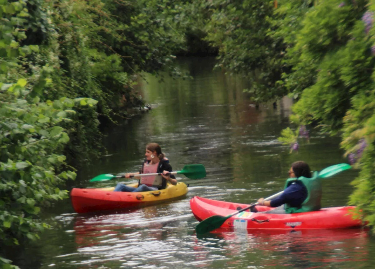 Pont-Audemer. Les balades en kayak ont repris sur la Risle | L'Éveil de Pont-Audemer