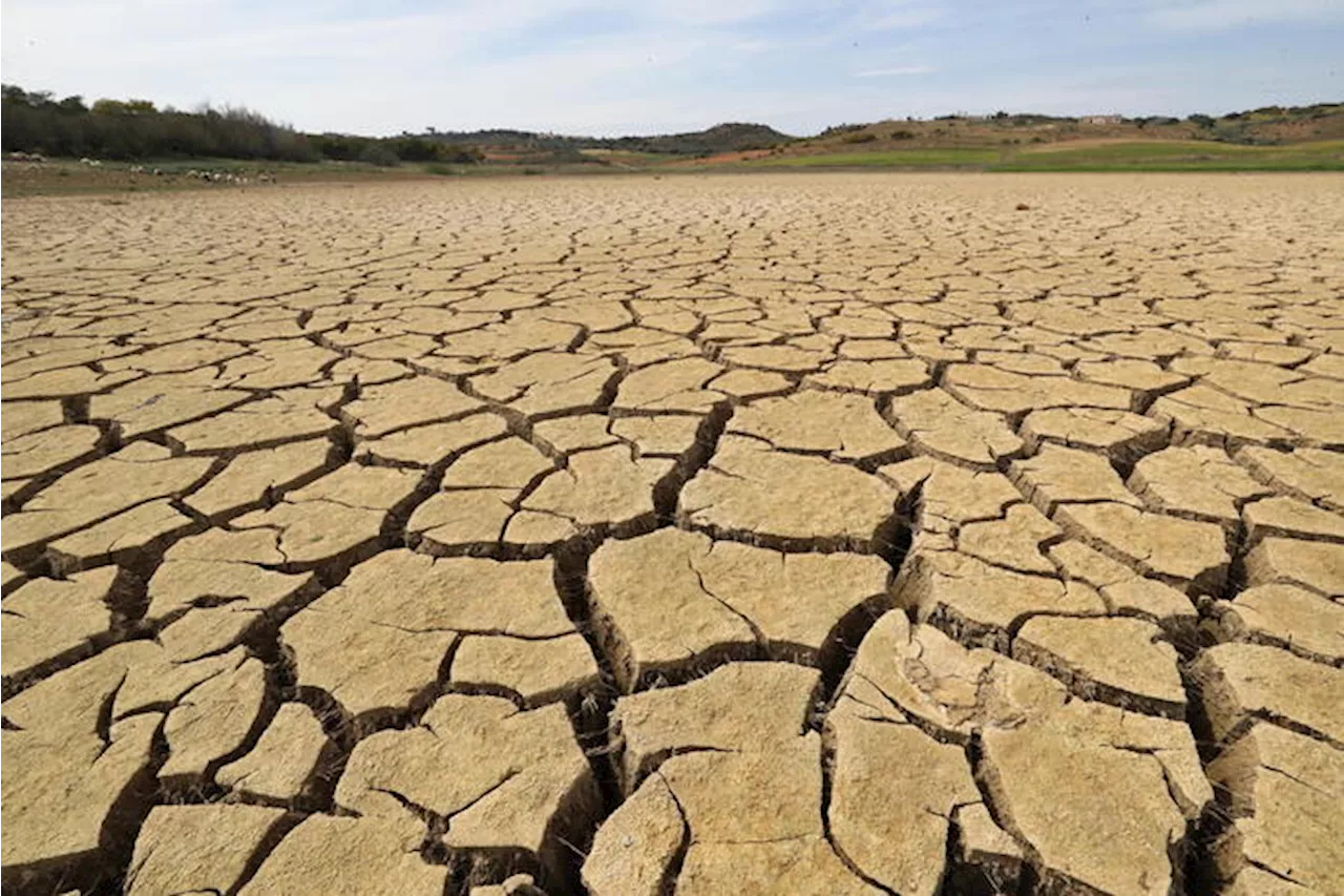 Cambiamento climatico, le opzioni di adattamento per Tunisi