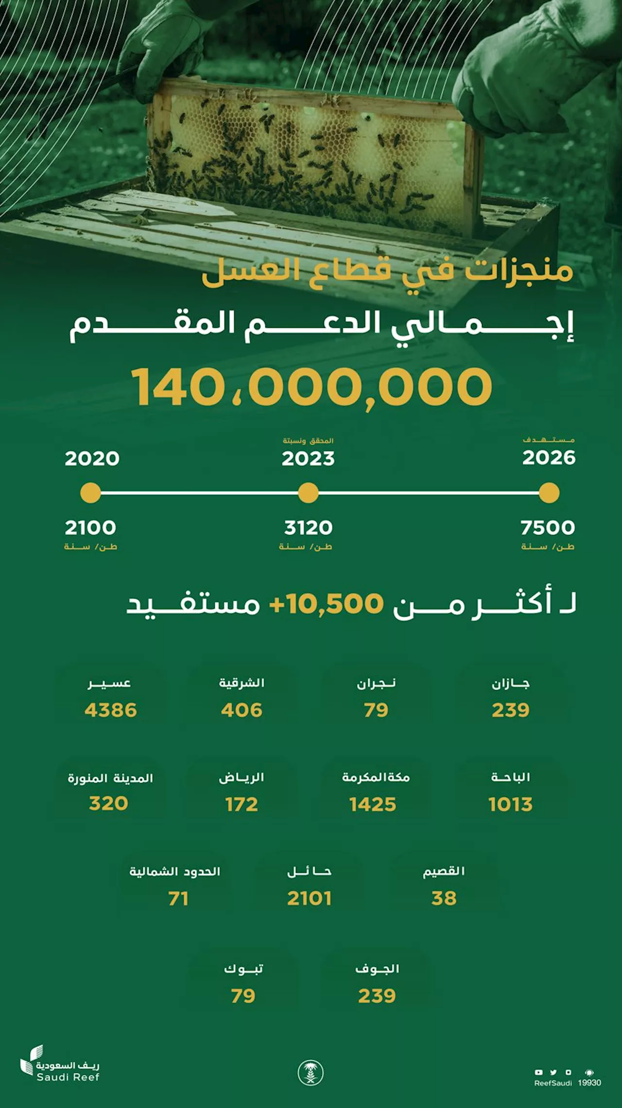 'ريف السعودية': 140 مليون ريال دعم قطاع العسل.. وتحقيق أكثر من 3 آلاف طن