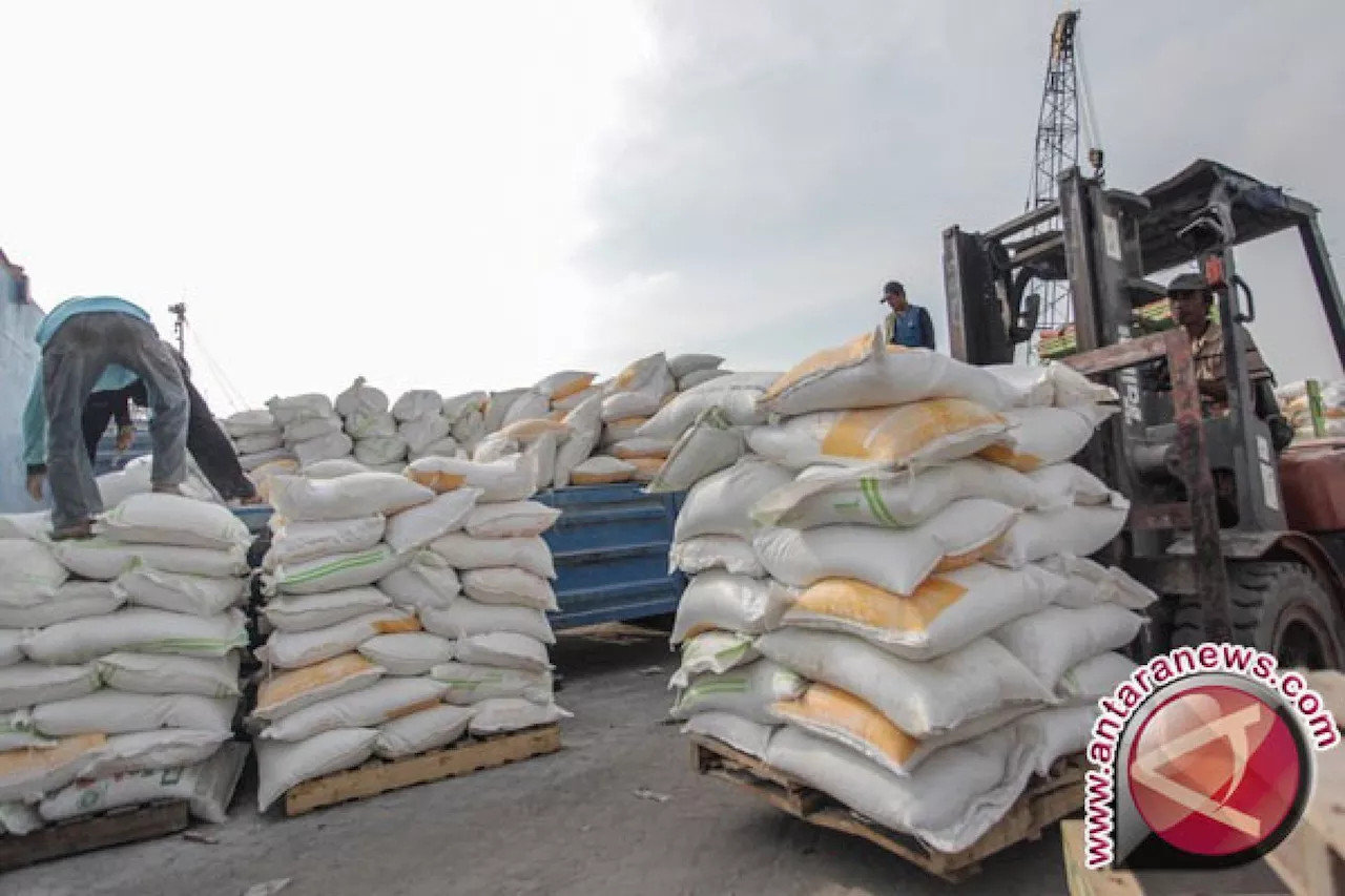 Kemendag sebut lakukan revisi impor bahan penolong tepung terigu