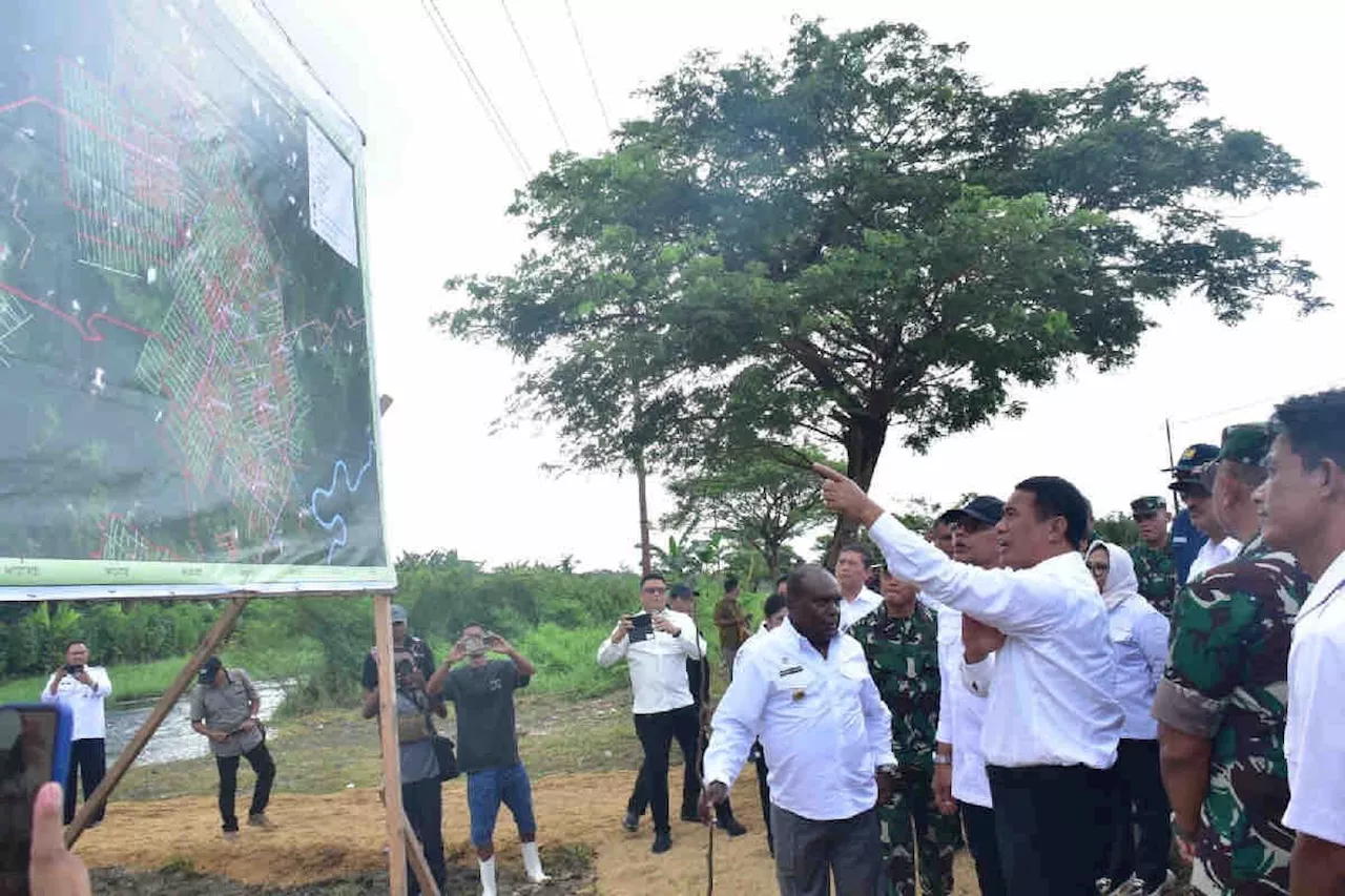 Kementan optimalisasi lahan rawa guna antisipasi darurat pangan