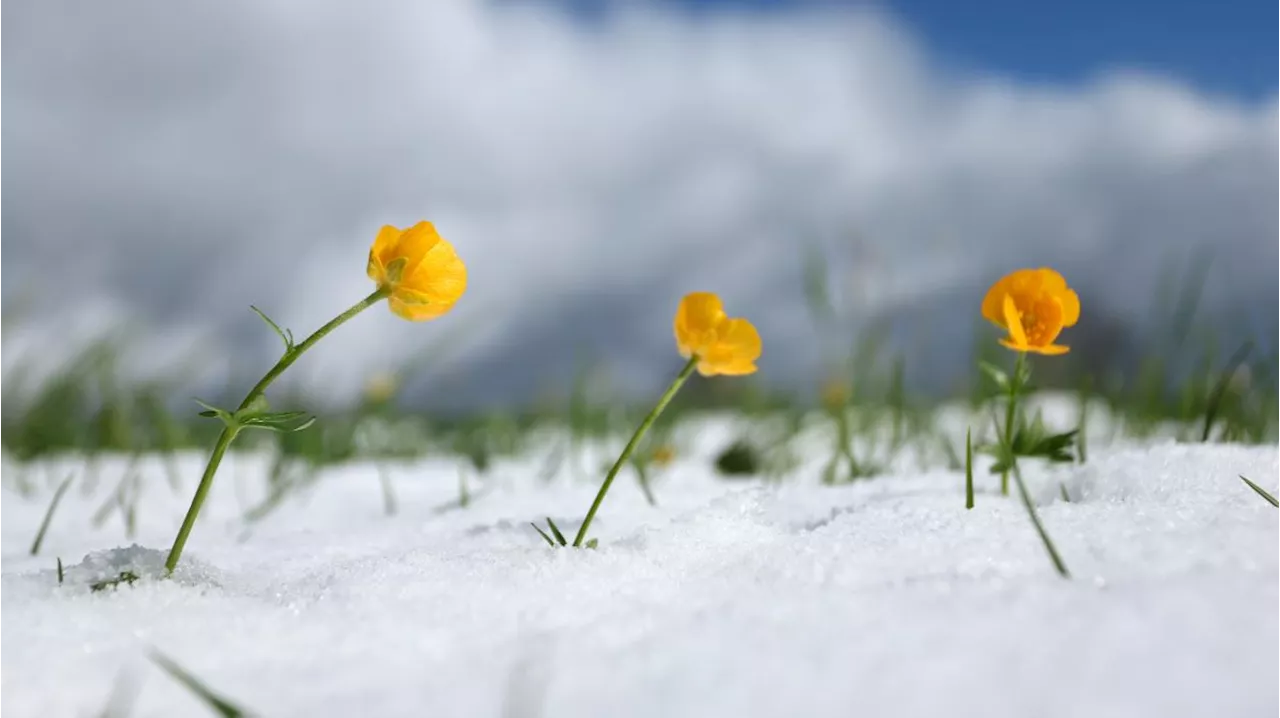 Wo schneit es heute in Bayern?