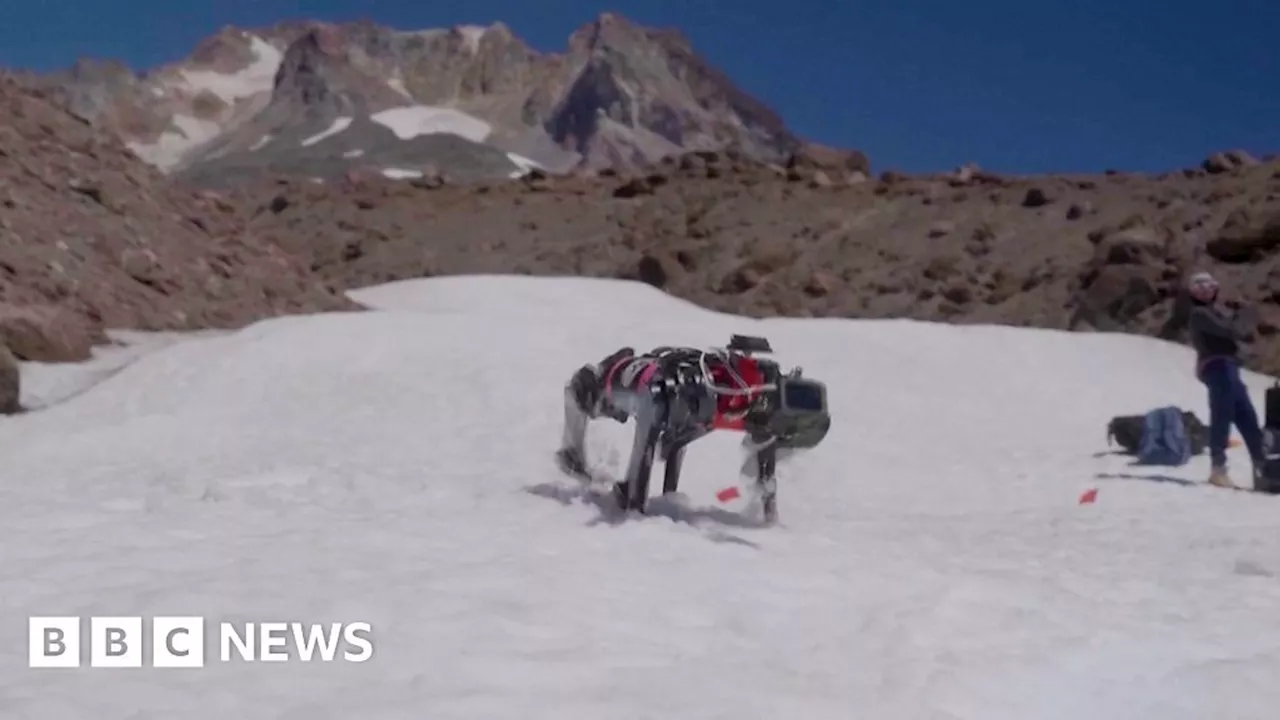 Robot dog trains to walk on Moon in Oregon trials