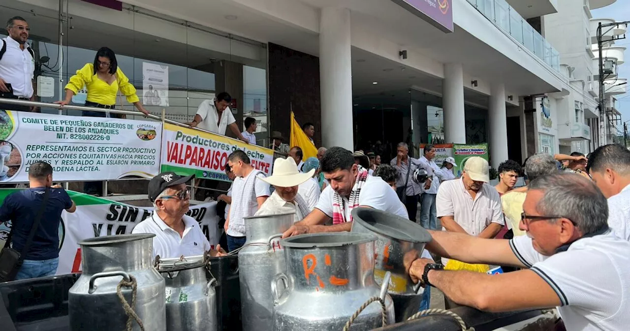 Ganaderos del Caquetá estarían quebrando por bajos precios de la leche