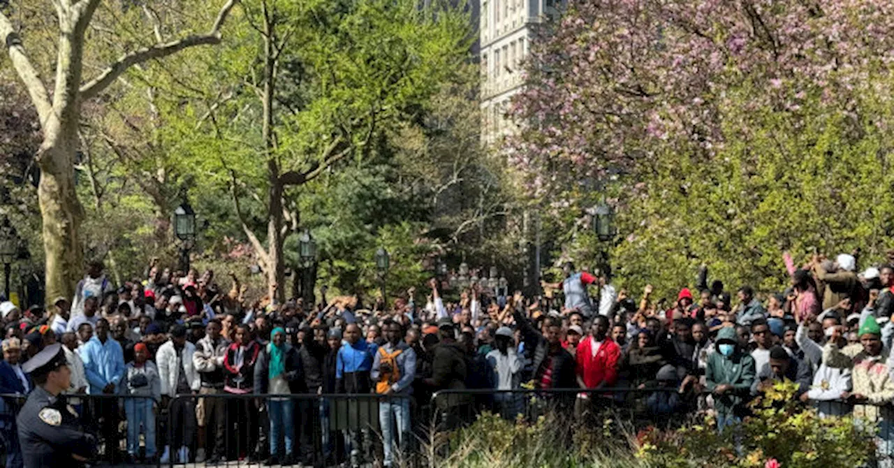 Over 1,300 African Migrants Gather Outside New York City Hall over Promise of Green Cards