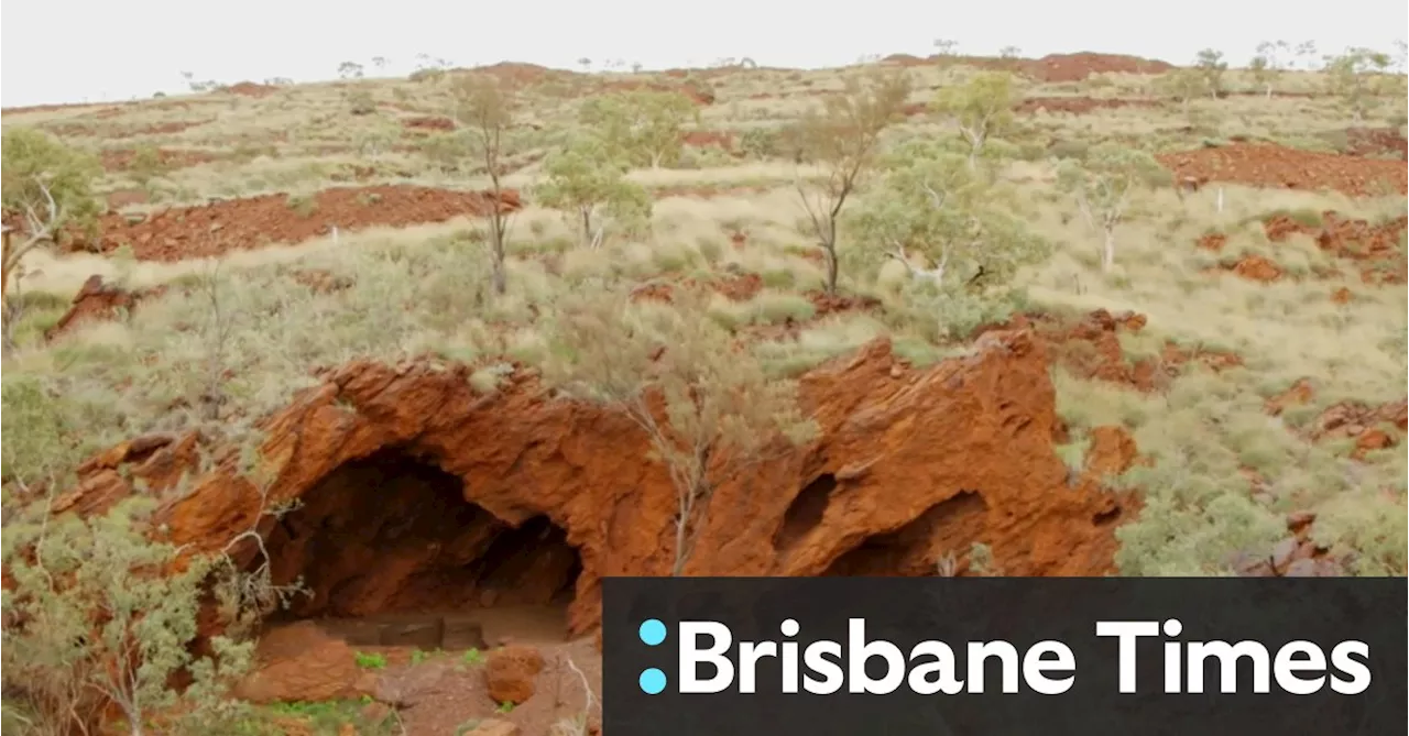 Tasmanian Devil tooth among ‘mind-blowing’ finds in destroyed Juukan Gorge cave