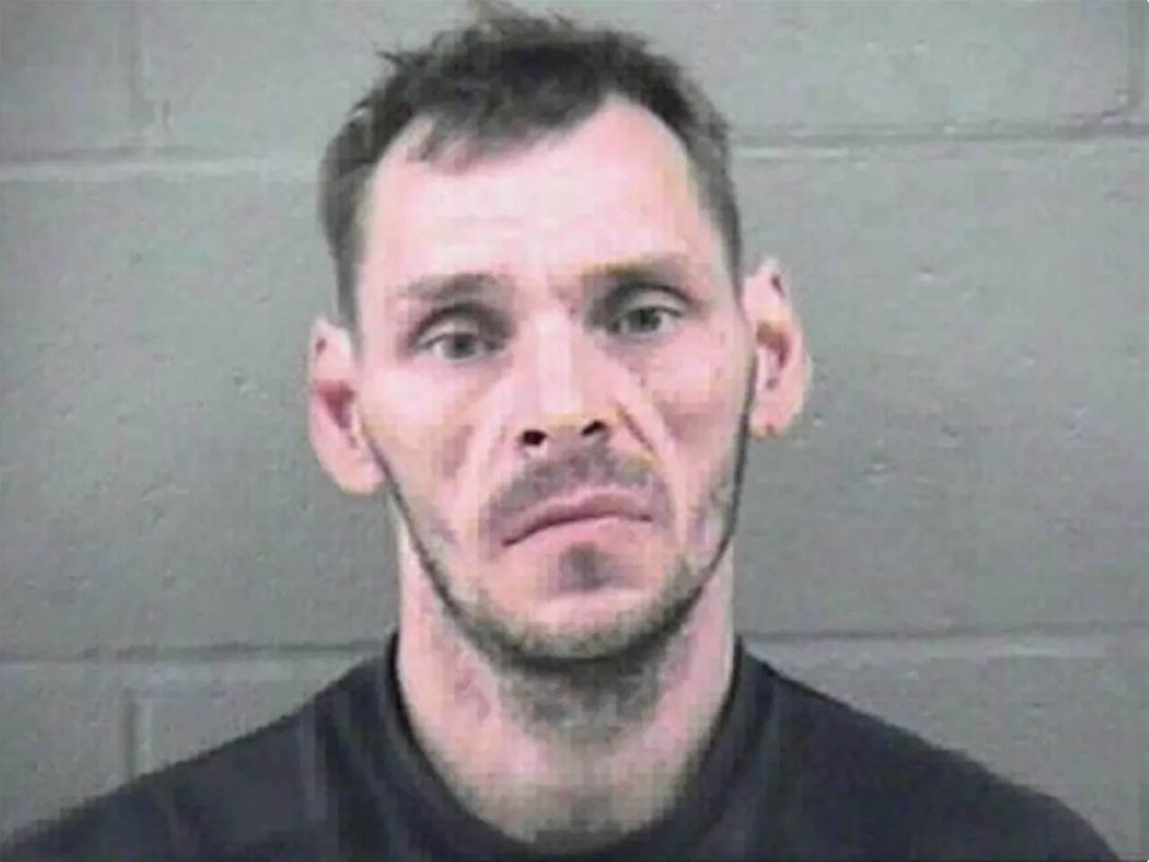 Child killer Allan Schoenborn's review hearing adjourned after outburst