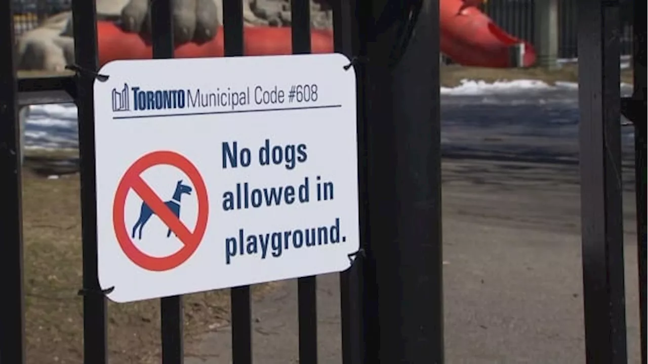 Experts say more proactive approach to dog ownership is needed after recent dog attacks