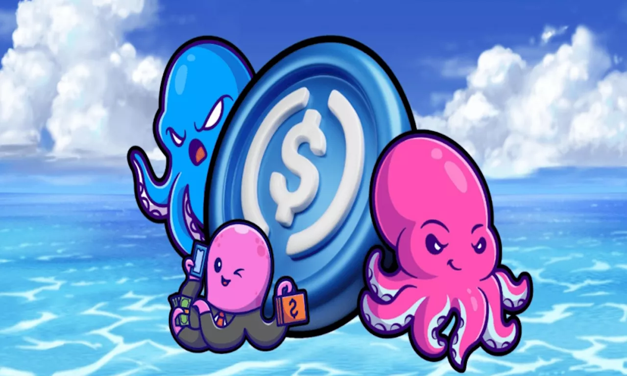 USDC gains made easy with Octoblock DeFi Rewards