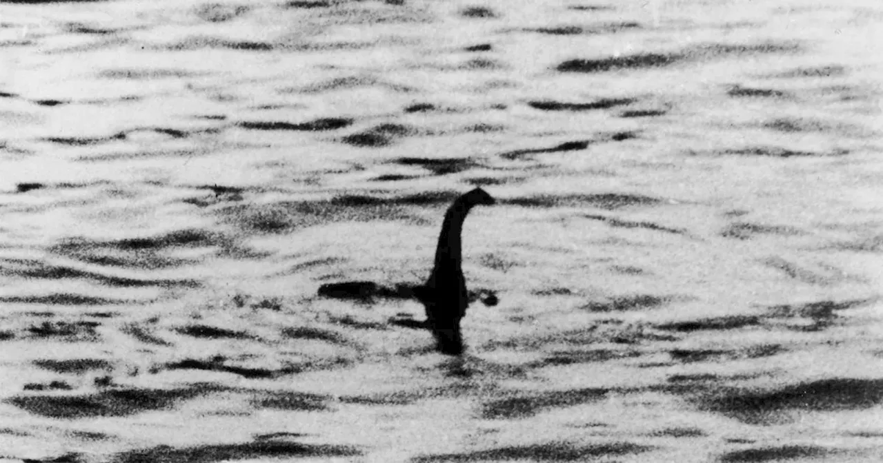 Eight of the best Loch Ness Monster sightings in recent years