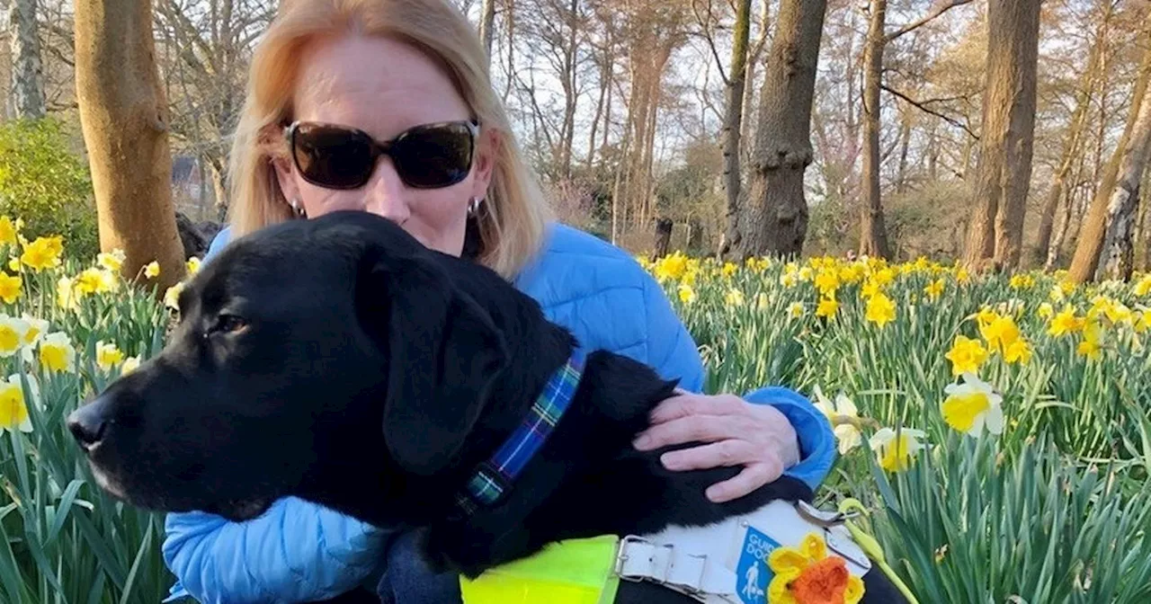 Lanarkshire Guide Dogs centre to open its doors for National Tea Day