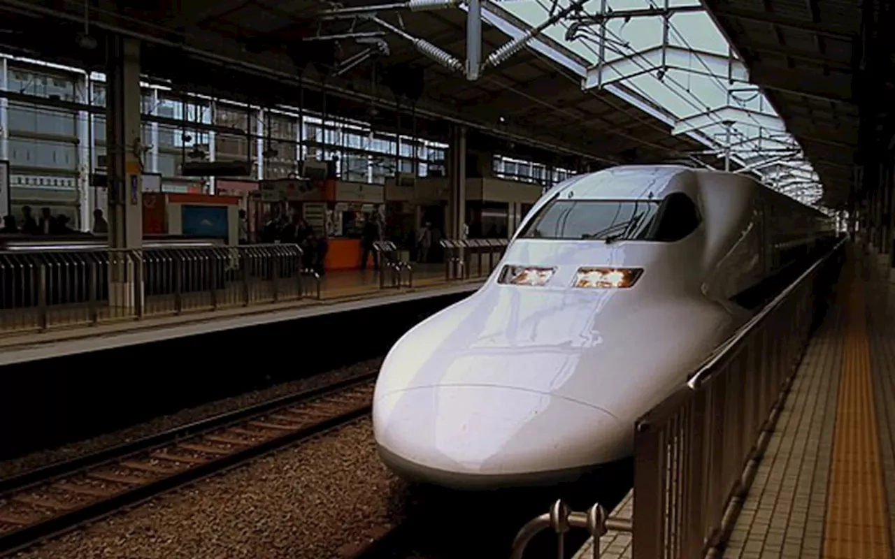 Snake on a train delays Japanese bullet service